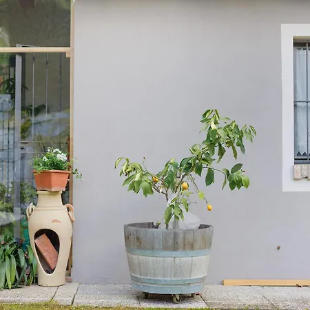Terraluna Bed & Breakfast